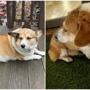 춘화원 한옥펜션 이미지