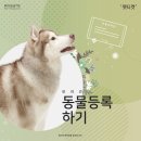 쿨펫동물병원 | 동물등록 자진신고 기간을 운영합니다.
