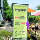 안영마루