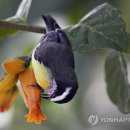 보성꽃식물원 이미지