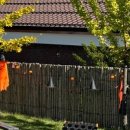 범브로하우스 이미지