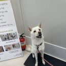 주동물병원 이미지