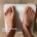 내돈내산 원트 다이어트 1주차 후기