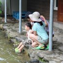 세월산장 이미지