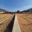 내가면-2 네이버블로그
