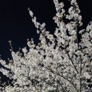 수지체육공원 테니스장 이미지