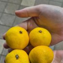 제일장횟집 이미지