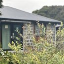 제주 삼달가옥 감성숙소 이미지