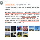 엘에이 자유 여행 일정 :: LA 조슈아트리 국립공원 당일 투어 총정리!