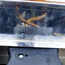 오성헬스케어 이미지