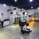 나르매애견 이미지