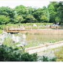 양재시민의 숲 3번출구 이미지