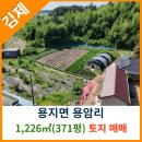 용지면사무소 이미지