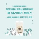 미유펫강아지분양고양이분양 | 칠곡강아지분양 말티푸분양후기 | 결국 미유펫에서 가족을 만났어요