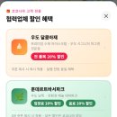 차나라 | 우도 전기차 렌트 코코나라 종일대여 후기