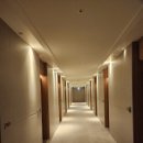 중원-75 | 2026 진해군항제 벚꽃축제 여좌천 야경 후기 (+ 숙소, 대중교통)