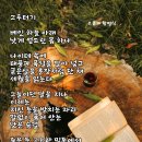 그루터기