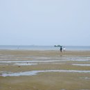 용두해수욕장숲속야영장 이미지