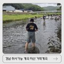 초록마을마산월영점 | 실망했습니다. 경남 마산 취사가능한 거락계곡 물놀이 실시간