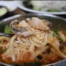 제주 반딧불 이미지