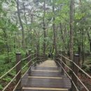 와룡천 캠핑장 이미지