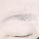 샤르망뷰티
