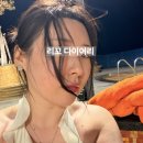 가정용 고주파 뷰티디바이스 기기 보탬 알페이스 내돈내산 사용후기
