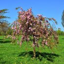 the # 펜션 이미지