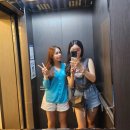 퍼플 315 | 양양 퍼플315호텔 | 양양 낙산해변 숙소 퍼플315 1박 후기