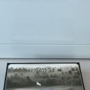 딤플 | 고급 디저트 선물, 구움과자 선물세트 딤플 골프 디저트 후기