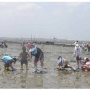 하전어촌체험휴양마을 이미지