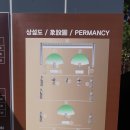 방학동 은행나무 이미지