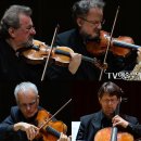 베를린 필하모닉 스트링 콰르텟 이미지