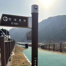 내린천 자연세상 이미지