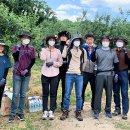 와룡자원 이미지