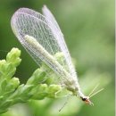 청계사입구 삼거리 이미지