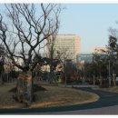 상무평화공원 이미지