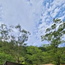 구천계곡야영장 이미지