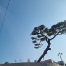 천성대항길 | 부산 강서구 가덕도 오션뷰 대형카페 스톤라운지