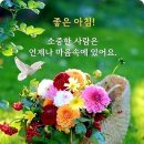 ♡ 유월[流月]의 꿈 이미지