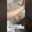 왕큰 바퀴벌레를 잡는 레젼드 동영상 이미지