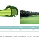 라비돌 이미지