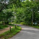 내린천펜션계곡사랑 | 강원도 인제 펜션 속삭이는 인제 자작나무숲 펜션 내린천 계곡 숙소 추천