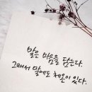 인양양초장 티스토리