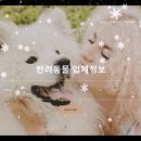 아지펫