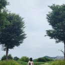 gs25동림빛고을점 | 빛고을 영산강변 트레킹 (광신대교 <--> 첨단교)
