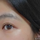 아르떼 아이래쉬