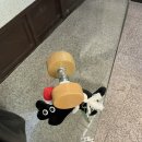 교동1길 | [대구] 교동 오유아헤어 OUA HAIR 레이어드펌 후기