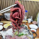 순화궁로1 | 별내 맛집 고집통문어칼국수 별내별가람역점 재방문 후기