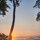 UR(강릉시)-[주문북로]-하-2 | 6월 한달 일상(강릉 여행후기)